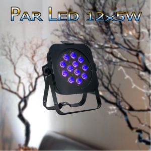 Par led 12x5W, đèn par led sân khấu.