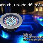 den chiu nuoc doi mau